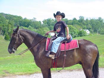5th Generation Horseman