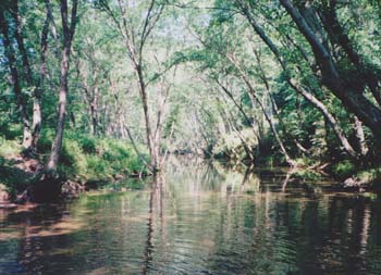 river1