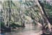 river2