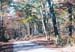 trail2